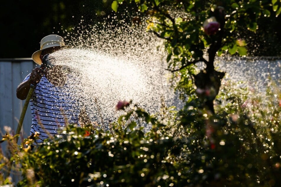 München: Wasser marsch! München verlängert Bewässerungsverbot nicht – Lage weiter angespannt