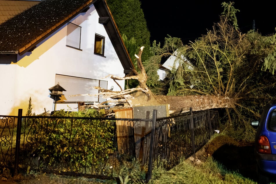 Mehrere Bäume wurden umgerissen und zahlreiche Dächer abgedeckt. An insgesamt 25 Gebäuden verursachte das Unwetter in Mainz-Ebersheim Schäden.