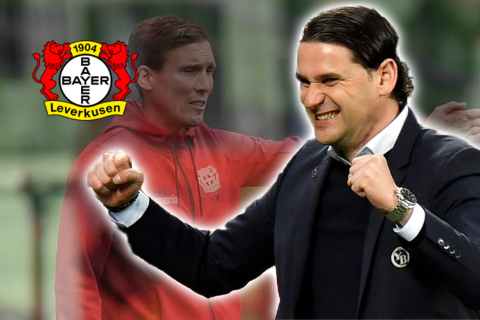 Bayer 04 Leverkusen mit neuem Coach: Schweizer Top-Lösung zur Werkself