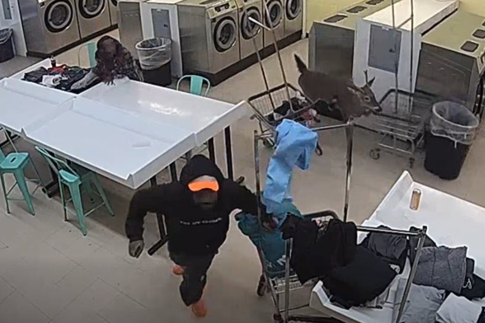 ... und ließ Kundinnen und Kunden des Waschsalons in Deckung springen ...