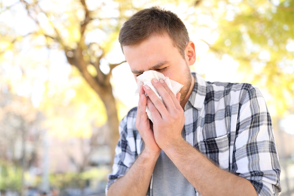 Instead of constantly using handkerchiefs, the experts recommend regular nasal rinsing (stock image).