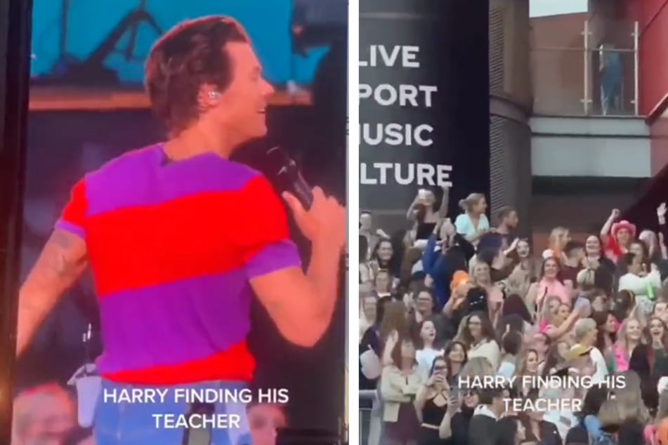 Harry Styles stopped one of his shows to scout out his childhood teacher in the crowd.
