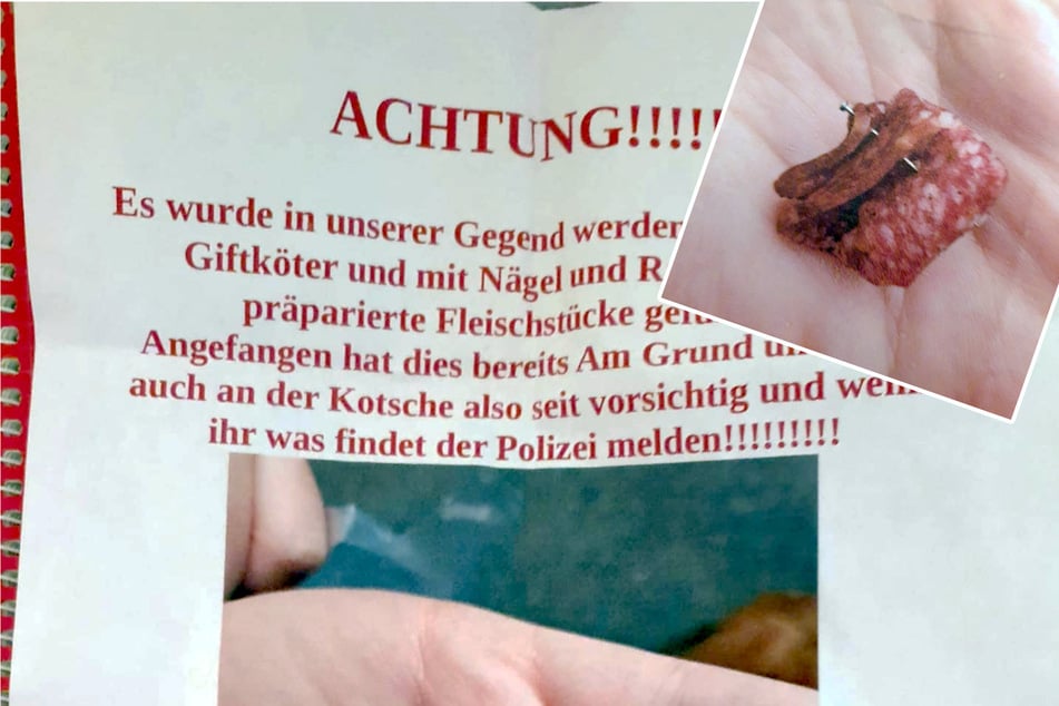 Leipzig: Hundebesitzer aufgepasst: Diese Gefahr lauert in Leipzig auf Eure Vierbeiner