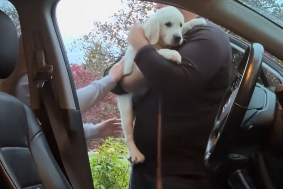 Ryan Hunt (27) nimmt den süßen Hund nach einem ersten Schreckmoment liebevoll in den Arm.