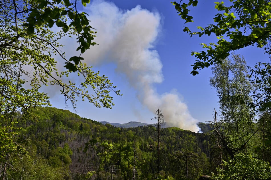 In der Böhmischen Schweiz ist eine Schicht aus Waldstreu auf dem Boden in Flammen aufgegangen.