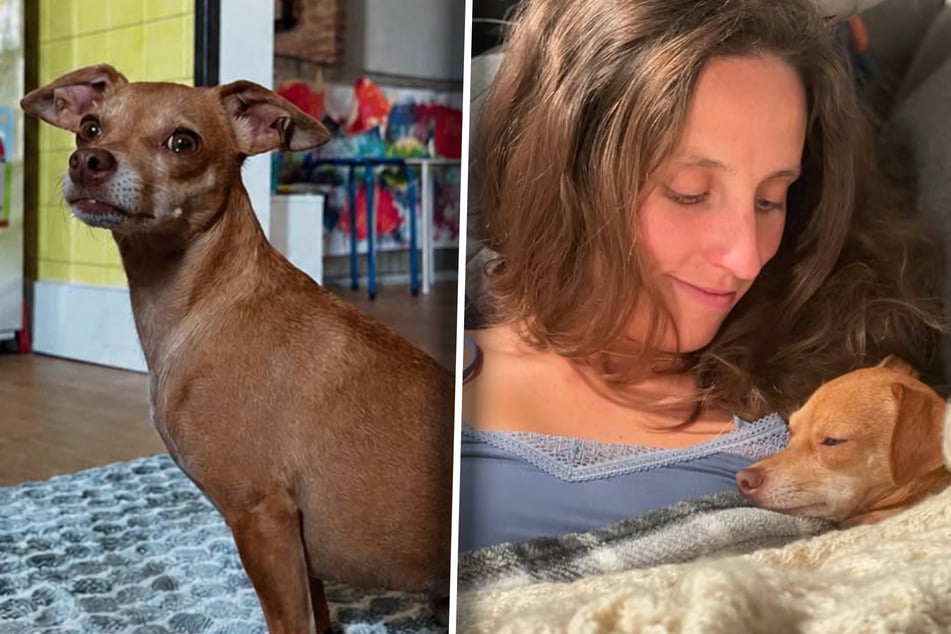 Hannah Cummins lebt seit sechs Jahren mit Opal zusammen. Wo sie jetzt ist, ist der Frau ein Rätsel.
