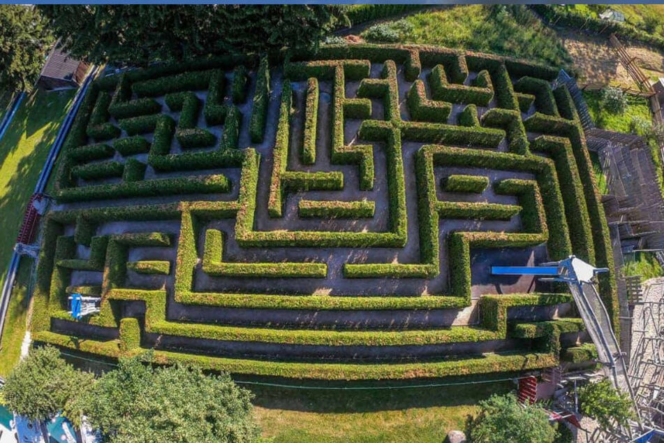 Der Irrgarten gehört zu den Highlights beim Wurzelrudi.