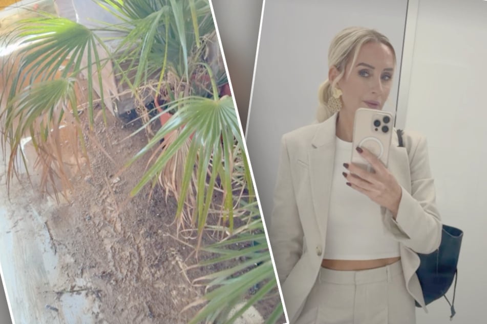 Die TV-Auswanderin Peggy Jerofke (49) traute ihren Augen kaum, sprach von einem Albtraum.