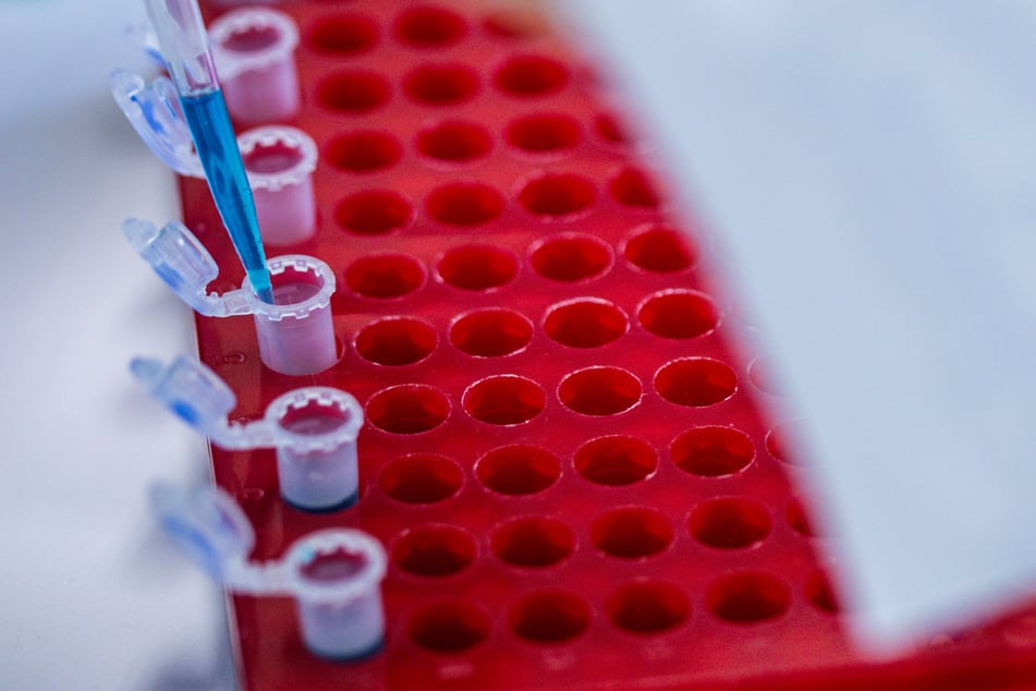 In der Wurst waren Listerien-Keime nachgewiesen worden. (Symbolfoto)