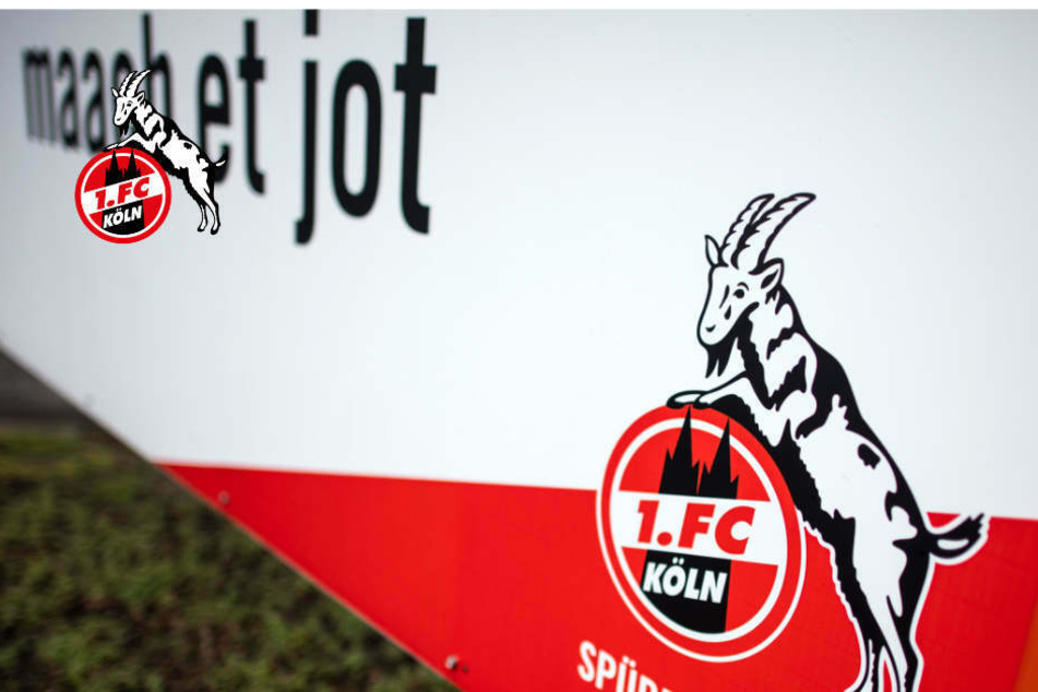 Weil er nicht geimpft ist? 1. FC Köln schmeißt Team-Manager endgültig raus