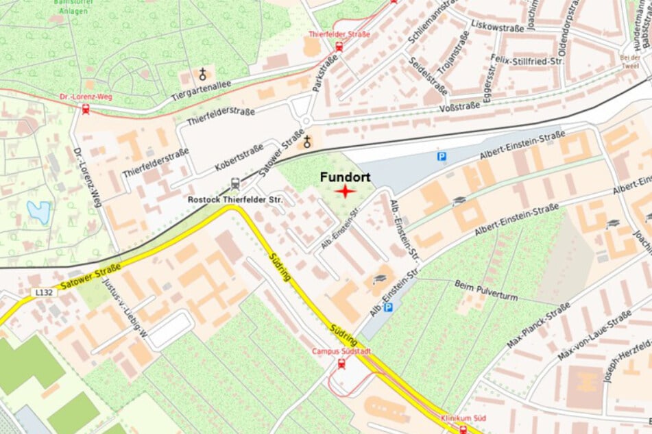 Das betroffene Waldstück liegt an der Albert-Einstein-Straße im Ortsteil Südstadt.