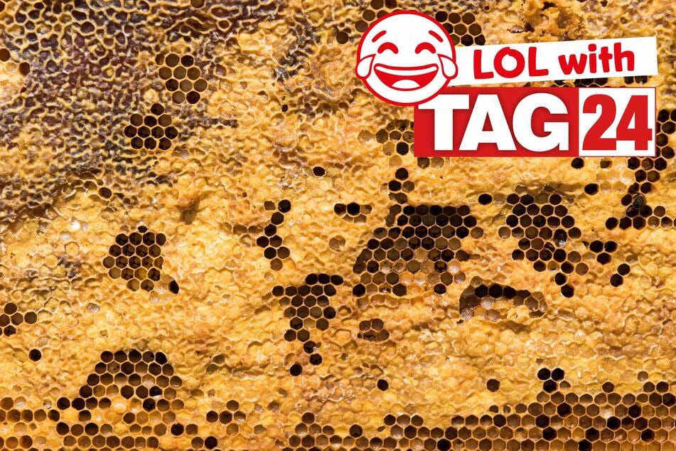 Joke of the Day for November 30, 2025: Get your funny on.