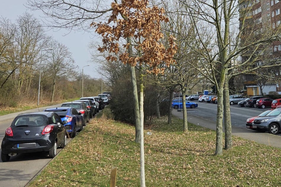 16-Jähriger flieht auf frisiertem E-Roller vor Leipziger Polizei: Dann finden die Beamten eine Waffe