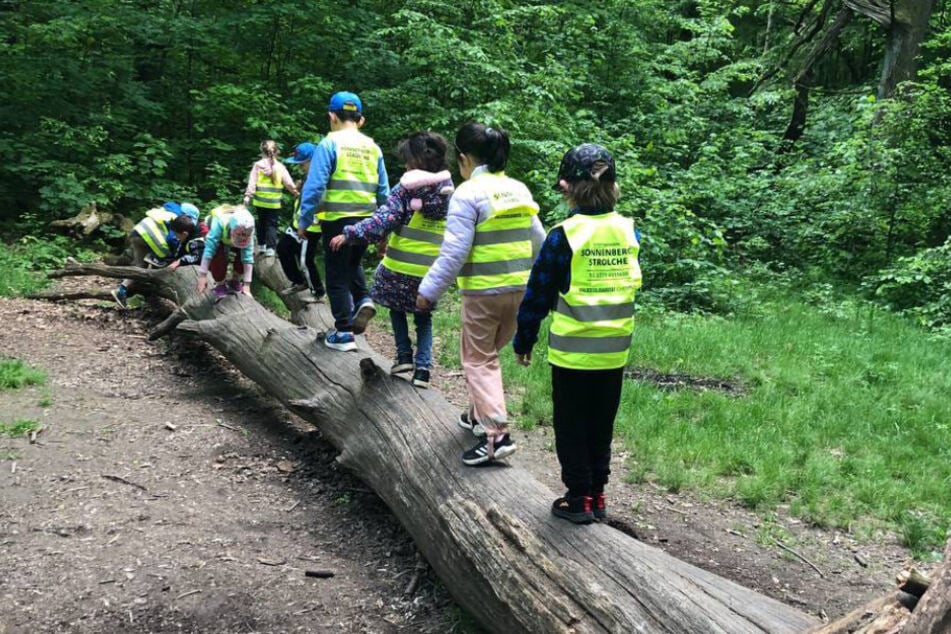 Hier sind die Kleinen im Zeisigwald unterwegs.
