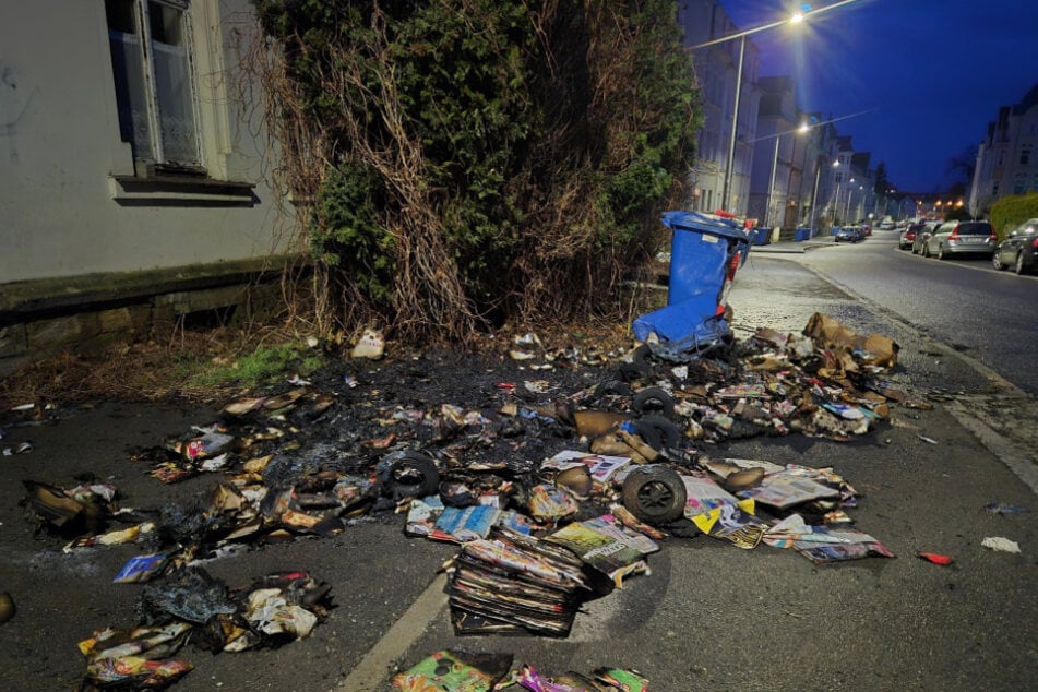 Die Flammen griffen auch auf eine angrenzende Hecke über.