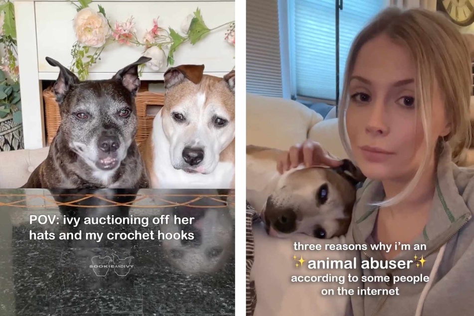The dog owner has playfully addressed the hate in a few cheeky Instagram videos.