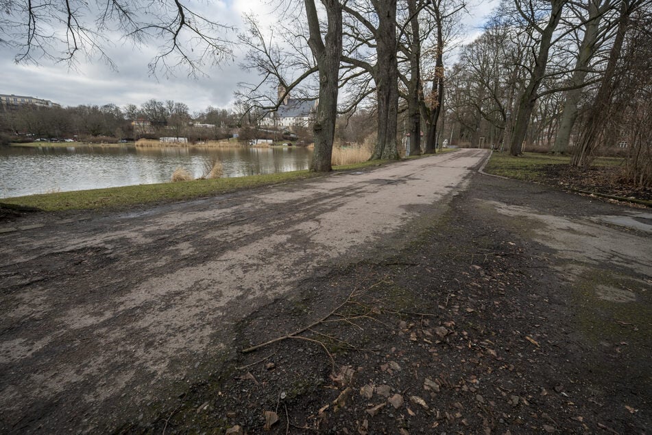 Die schwer beschädigte Asphaltdecke des Hauptweges am Ostufer des Schloßteichs soll erneuert werden.