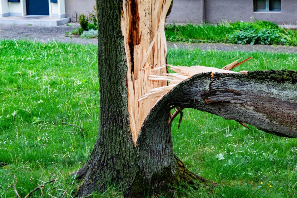 Unwetter in Hessen: Starke Windböen ließen mehrere Bäume umstürzen.