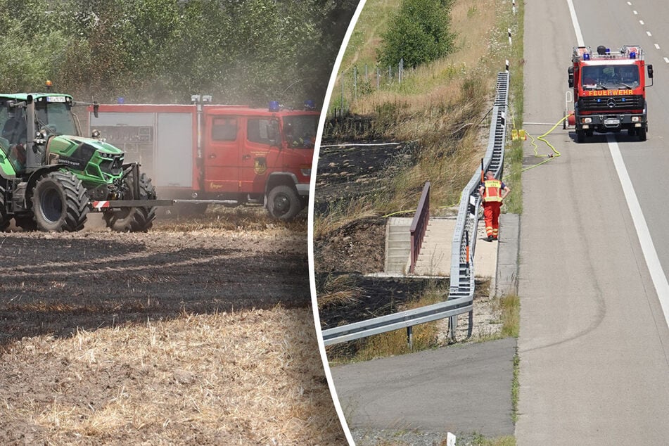 Dresden: Feldbrand an der A13: Feuer droht Autobahn zu erfassen