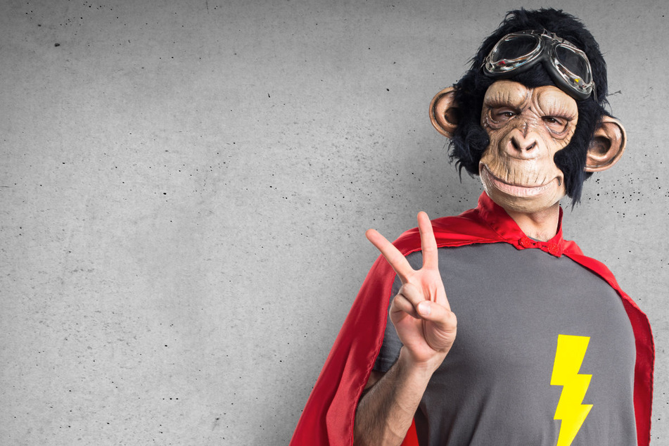 Mann im Affenkostüm schlägt Faschingsgast nieder