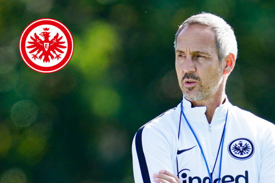 Eintracht-Coach Hütter nach erstem Training: "Eine Freude, auf dem Platz zu stehen"