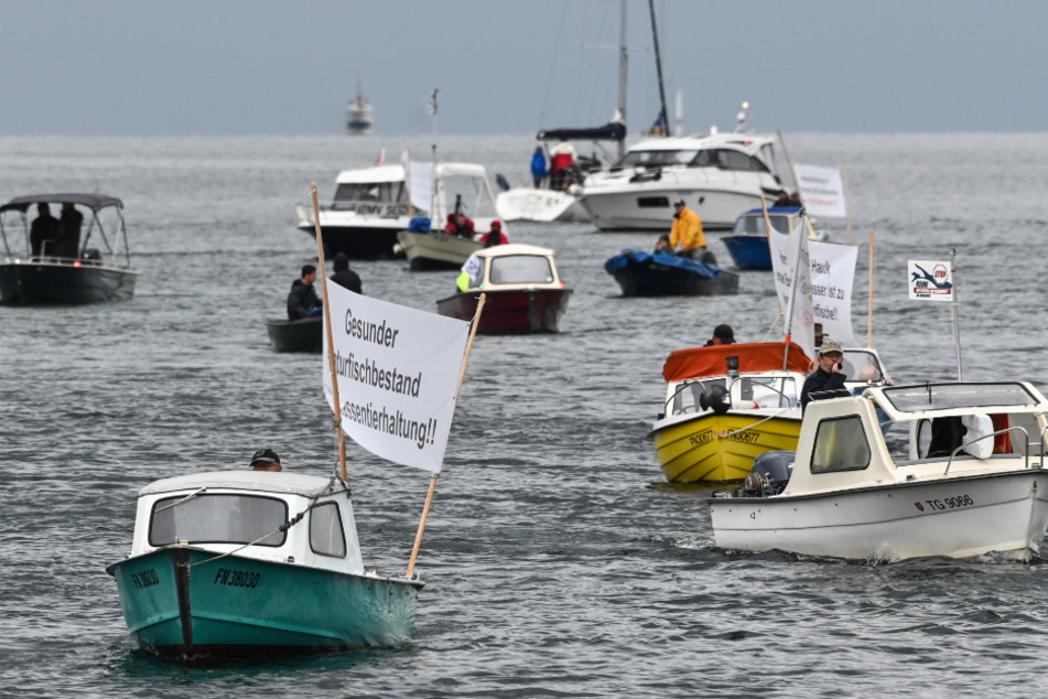 Fischer demonstrieren mit einem Schiffskorso gegen geplante Netzgehege im Bodensee. An der Demonstration beteiligen sich Fischer aus Deutschland und der Schweiz.