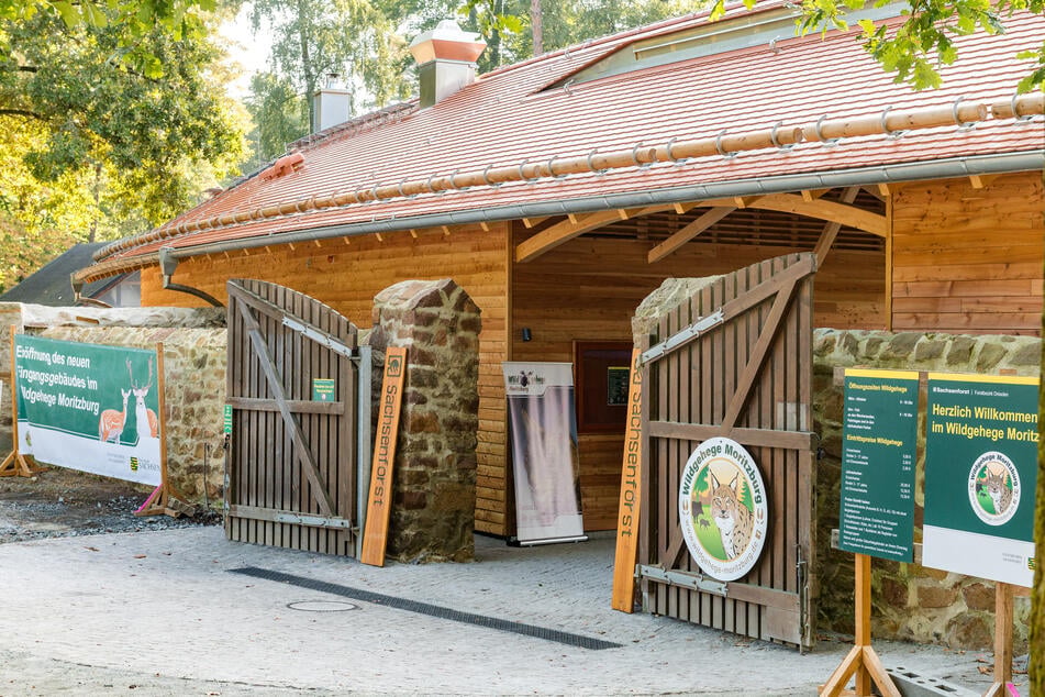 Zwischen Tieren, Natur und zahlreichen Mitmachangeboten können Familien am Samstag einen abwechslungsreichen Tag im Wildgehege Moritzburg verbringen.