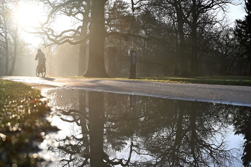 Das Wetter beschert uns diese Woche zumindest einen kleinen Lichtblick. Laut DWD steigen die Temperaturen in den kommenden Tagen auf bis zu 10 Grad. Am Dienstag dürfen wir uns zudem über Auflockerungen freuen.