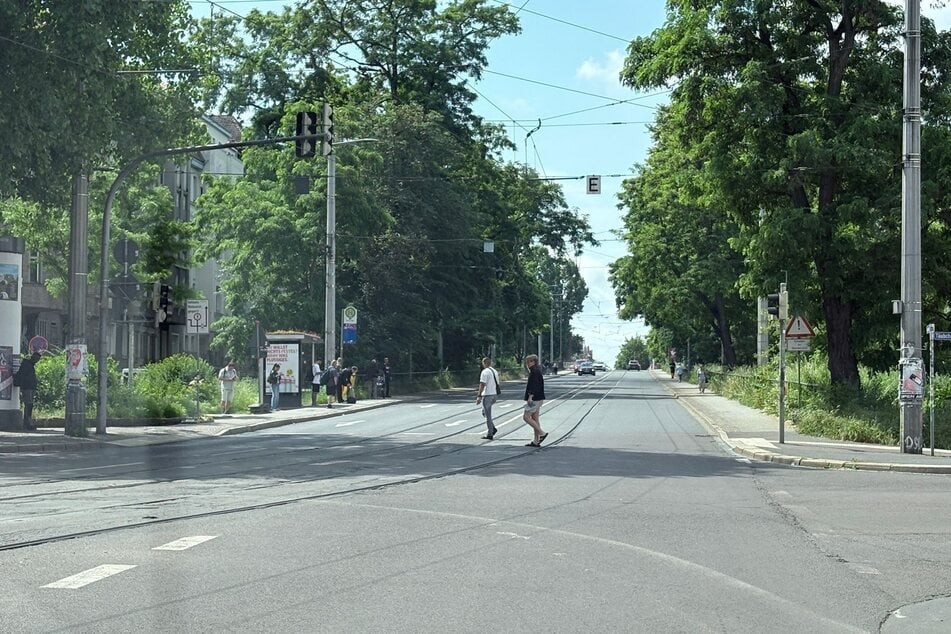 Um die Riebeckbrücke zu entlasten und sicherer für Radfahrer zu machen, werden ab dem 15. Juni Radspuren auf ihr eingerichtet.