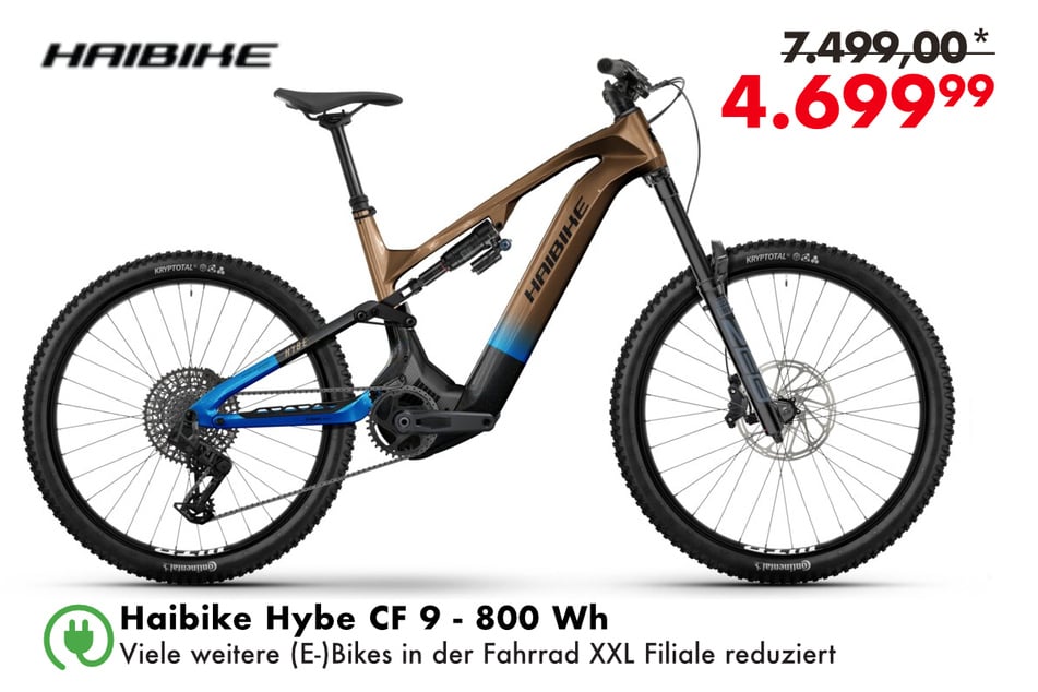 Haibike Hybe CF 9