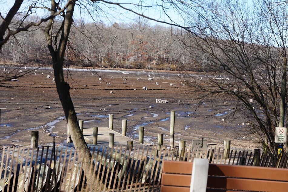 Der Ort des Vorfalls: ein Teich in Suffolk County im US-Bundesstaat New York.