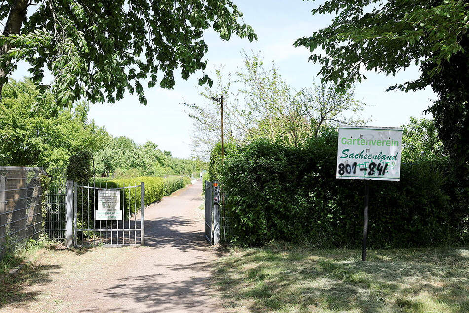 Die Polizei nahm auch den Gartenverein "Sachsenland" unter die Lupe.