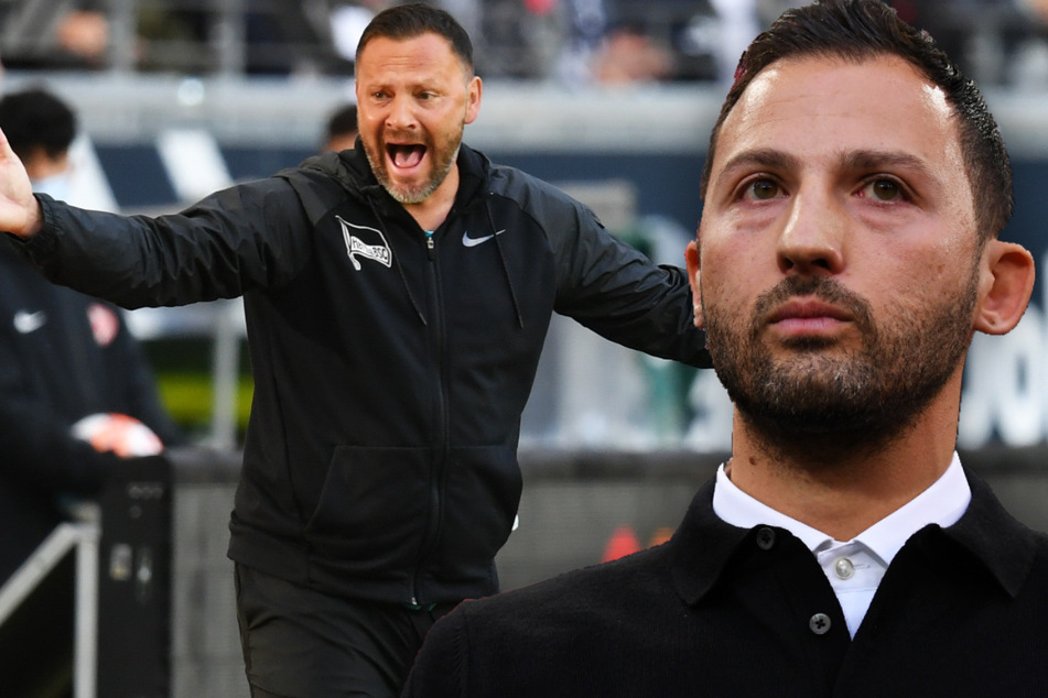 Pal Dardai (45) hat sich nach dem 2:1 bei Eintracht Frankfurt bei den Diskussionen um seine Person Luft verschafft. Domenico Tedesco (36/r.) soll Hertha BSC eine Absage erteilt haben.