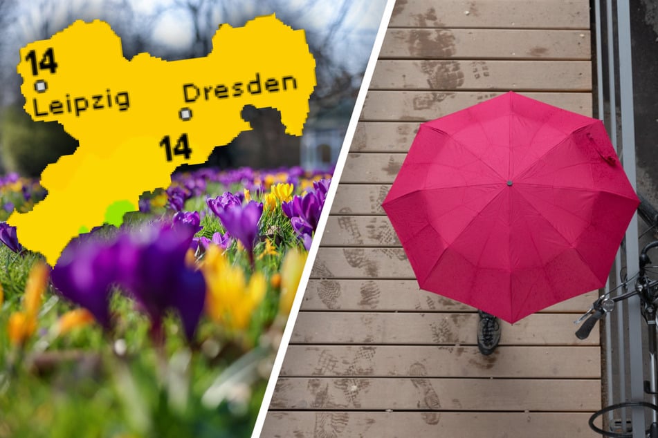 Wetter in Sachsen: Verzieht sich der Frühling am Wochenende schon wieder?