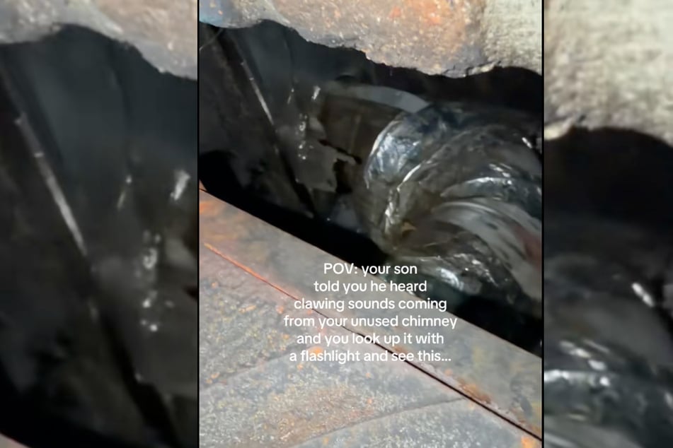 Nachdem Anwohner ein merkwürdiges Kratzen im Haus vernommen hatten, kontrollierten sie den ungenutzten Kamin.