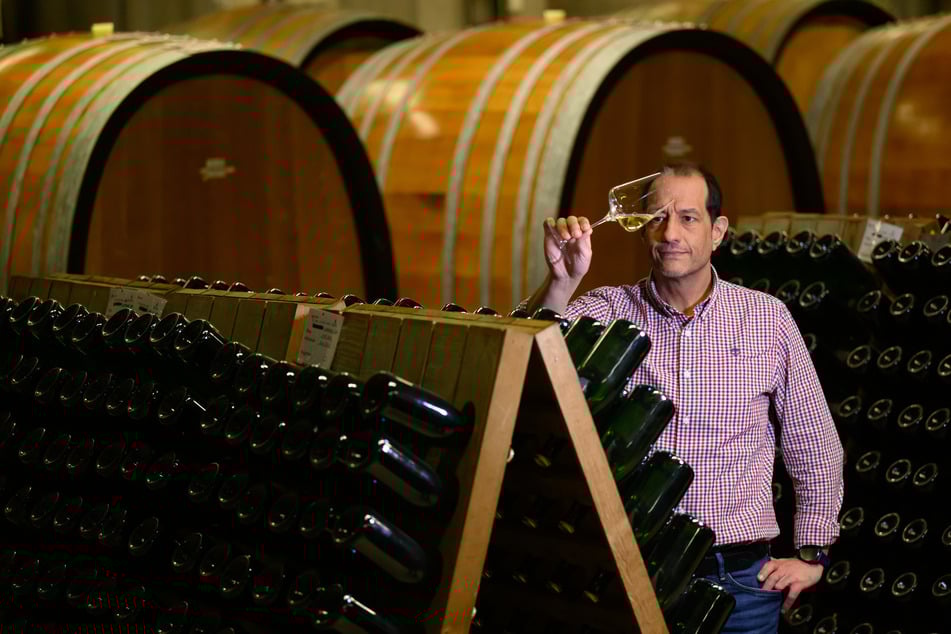 Das Staatsweingut Schloss Wackerbarth produziert seit dem vergangenen Jahr auch eine alkoholfreie Sorte.