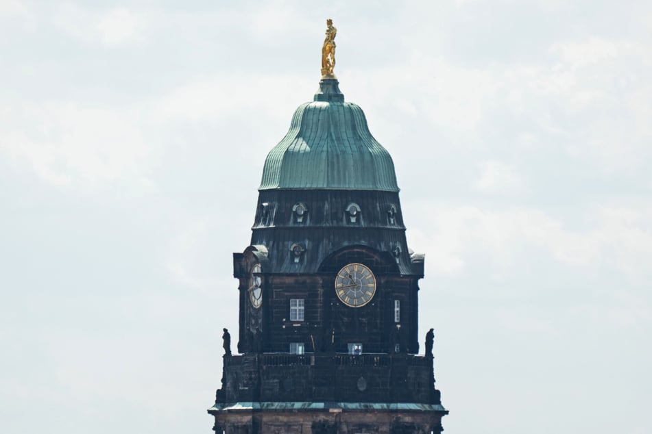 Der Rathausturm mit Besucherplattform ist auch ein tierisches Quartier.