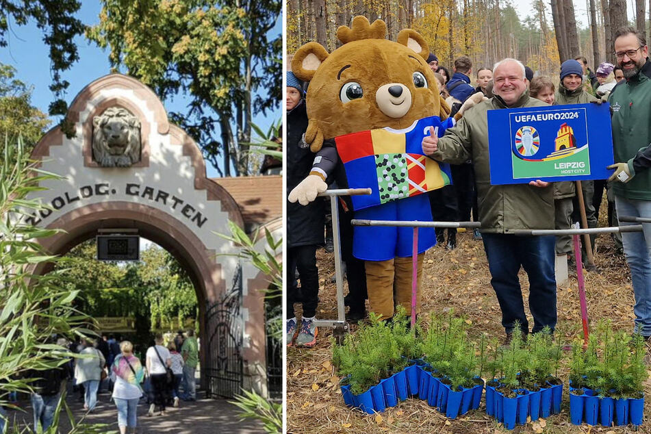 Leipzig: "Gemeinsam zur Waldmeisterschaft": Leipziger Zoodirektor will bundesweit 100.000 Bäume pflanzen