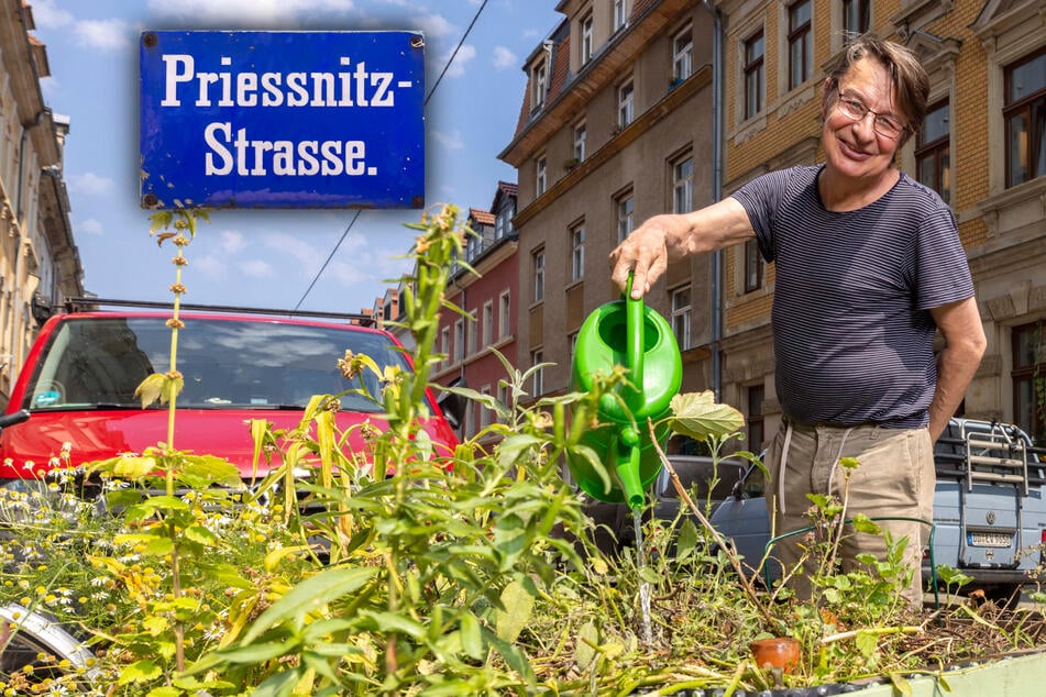 Dresden: Ein Hauch von zivilem Ungehorsam: Wie Anwohner ihre Straße vor der Sommerhitze schützen