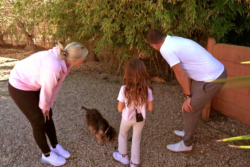 Erfüllen die Eltern Sophia den Hundewunsch?