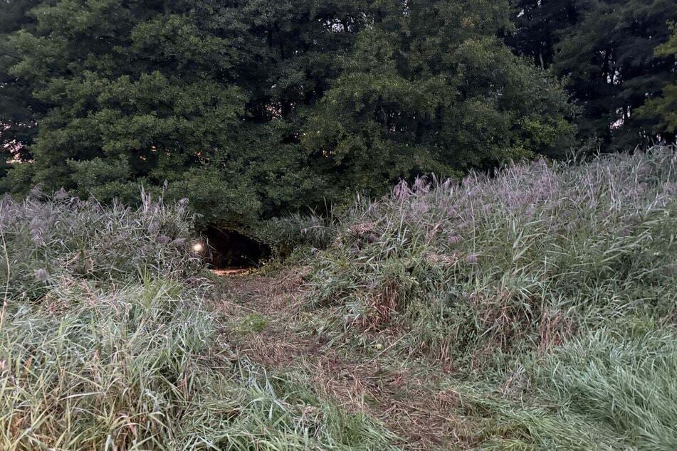 Beamte durchsuchten ein Waldstück nördlich der Gemeinde und wurden dort fündig.
