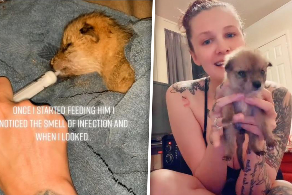 Megan Alexandra rescued what she thought was a puppy while preparing for a tornado, but it turned out to be a baby coyote.