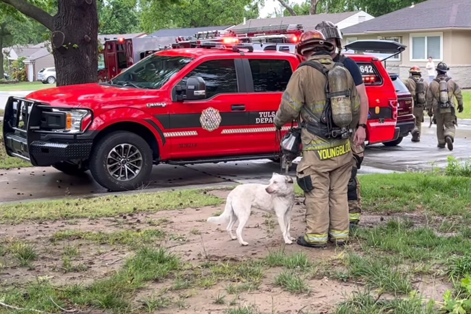 Der kleine Brandstifter wurde gerettet.