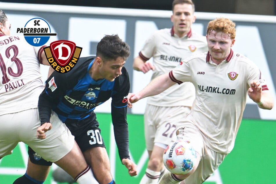 Dynamo-Noten gegen Paderborn: Eine Eins, eine Fünf! Leistungen bei der SGD gehen weit auseinander