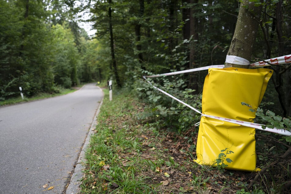 Die mutmaßliche Unfallstelle der Schweizerin Muriel Furrer beim Abstieg nach Küssnacht.