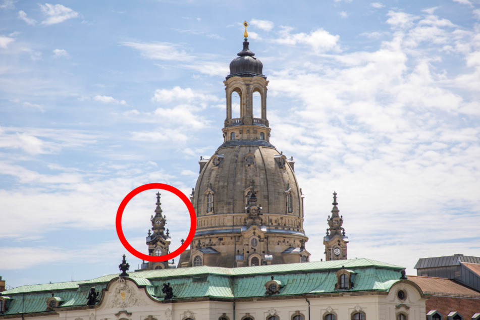 Einsatzort Frauenkirche: Dort hatte sich jüngst in einem Taubenschutz ein junger Turmfalke verheddert.