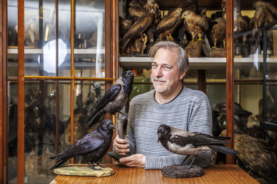 Ornithologie Martin Päckert (53) von der Naturhistorischen Sammlung Senckenberg Dresden
