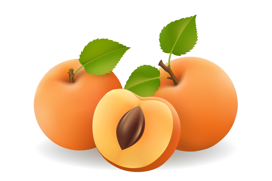 Aprikosen stärken das Immunsystem. (Symbolbild)
