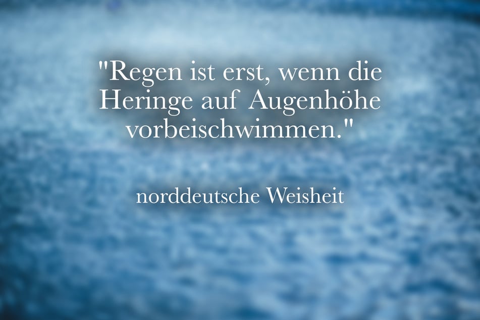 Lache über die norddeutsche Weisheit: "Regen ist erst, wenn die Heringe auf Augenhöhe vorbeischwimmen."