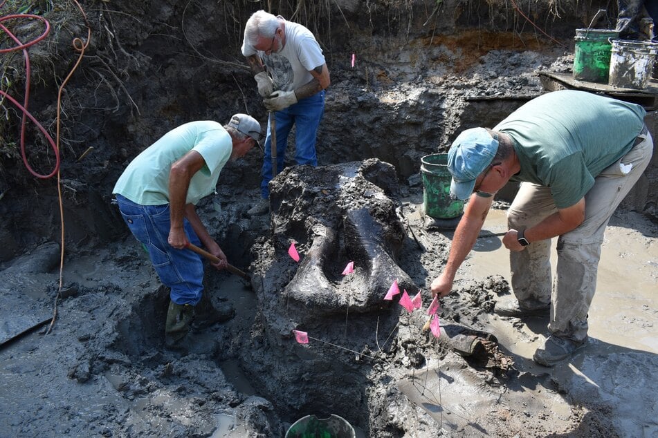 Wissenschaftler graben in Iowa (USA) ein Riesen-Fossil aus.